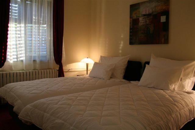 Vila Prica Niska Banja Kamer foto