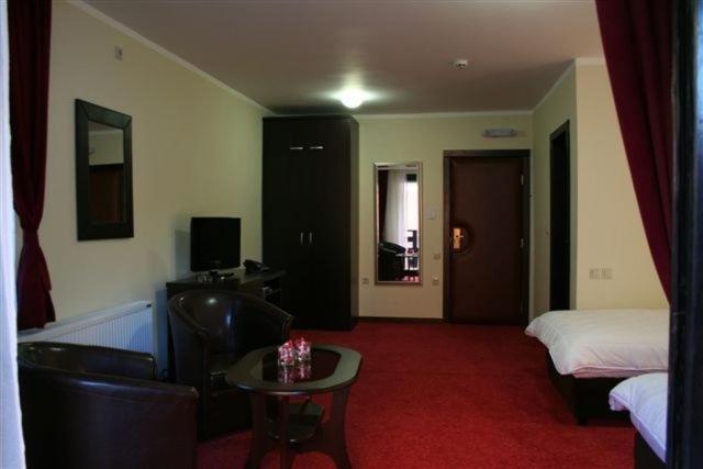 Vila Prica Niska Banja Kamer foto
